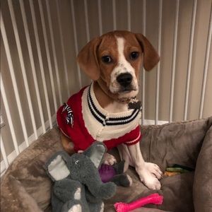 Meet your Posher, Morgan